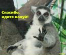 Фотография Максим Аксенов
