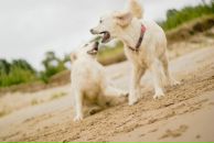 Илья Зыков фотография #27 (источник - https://vk.com/id9055544)