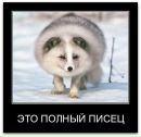 Віталій Верлан фотография #29 (источник - https://vk.com/id137645183)