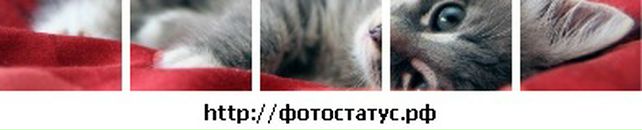 Іванка Мокра фотография #50 (источник - https://vk.com/id64092309)