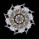 Фотография Скайвокера Anikin