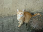 Сергей Кондратьев фотография #31 (источник - https://vk.com/id12372225)