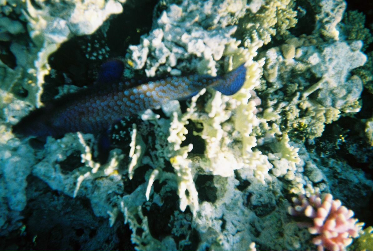 Александр Кадыкеев фотография #50