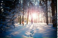 Фотография Захарычевой Альбины