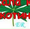 Вера Φилиппова фотография #2 (источник - https://vk.com/id4950359)