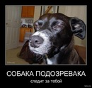 Олексій Сайненко фотография #37 (источник - https://vk.com/id120942362)