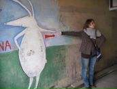 Фотография Перепёлки Таис