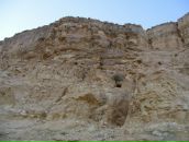 Дмитрий А фотография #5 (источник - https://vk.com/id23463017)