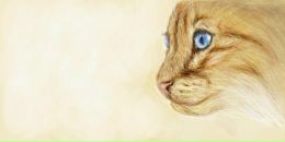 Фотография Сидорова Алексея