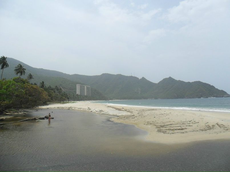 Дмитрий Данилькевич фотография #30