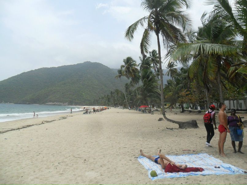 Дмитрий Данилькевич фотография #31