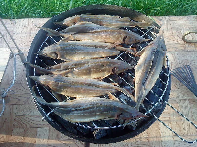 Елена Юсупова фотография #14