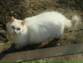 Сєрий Романюк фотография #7 (источник - https://vk.com/id60419558)