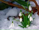 Фотография Залялутдиновой Гульфиры