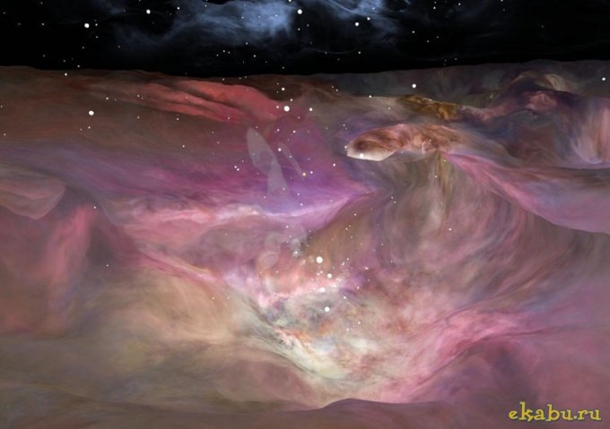 Антон Засада фотография #20