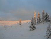 Андрій Шпур фотография #37 (источник - https://vk.com/id22659697)