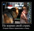 Юрій Балюк фотография #39 (источник - https://vk.com/id15811016)
