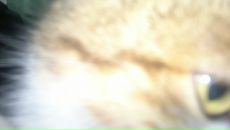 Наталія Радчук фотография #9 (источник - https://vk.com/id63224007)