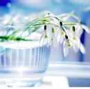 Фотография Неверовой Елены