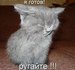  фотография #44