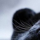 Dетk☼ ツ фотография #6 (источник - https://vk.com/id152994176)