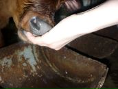 Фотография Мочаловой Натальи