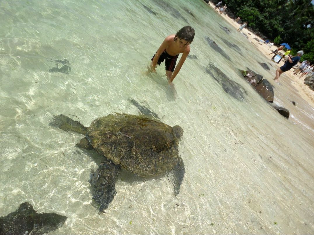 Асем Арыстанова фотография #5