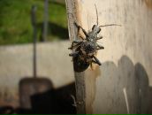 Фотография Минаевой Ксении