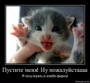 Влад Хільчук фотография #23 (источник - https://vk.com/id163447269)