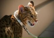 Фотография Винтер Анны