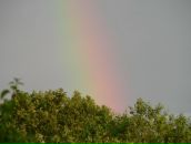 Фотография Михайловой Елены