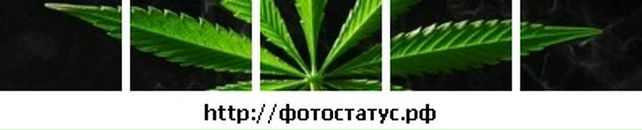 Ілюха Собко фотография #41 (источник - https://vk.com/id89825497)