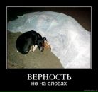 Віталік Бондаренко фотография #19 (источник - https://vk.com/id34627075)
