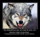 Віталій Шеремета фотография #11 (источник - https://vk.com/id157808176)