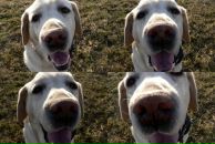 Фотография Садковой Антонины