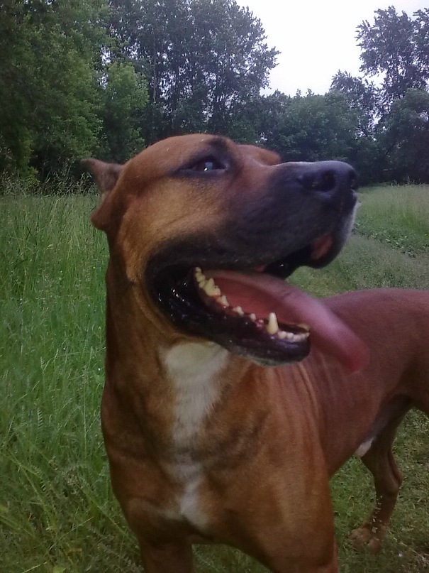 Михаил Сидоров фотография #12