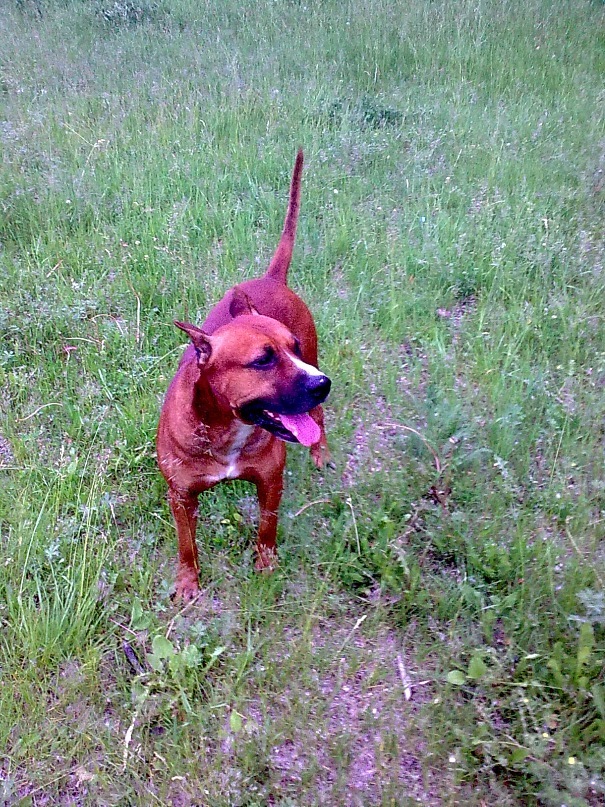 Михаил Сидоров фотография #26