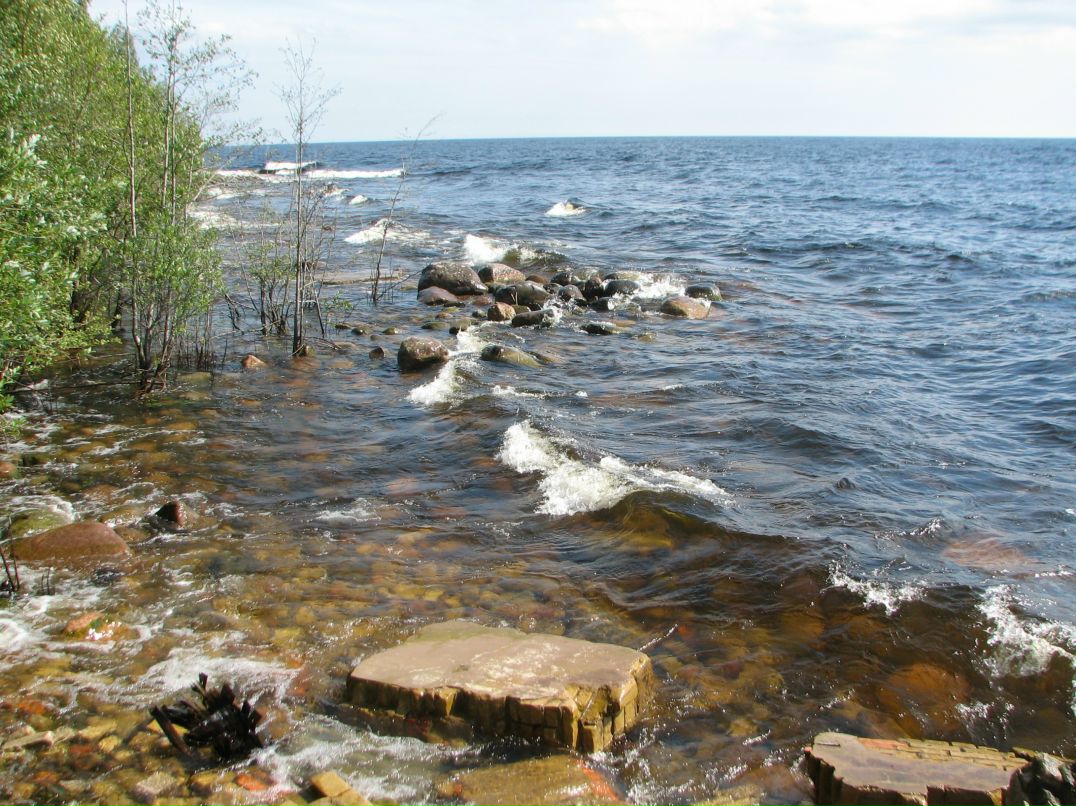 Николай Савельев фотография #8