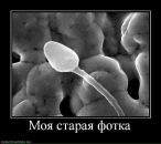 Фотография Пермякова Никиты