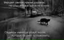 Наталія Сичик фотография #18 (источник - https://vk.com/id74533796)