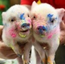 Ляля ♥ фотография #1