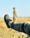 Ігор Сичик фотография #7 (источник - https://vk.com/id38595843)