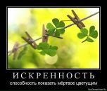 Ірина Сидорук фотография #45 (источник - https://vk.com/id35876623)