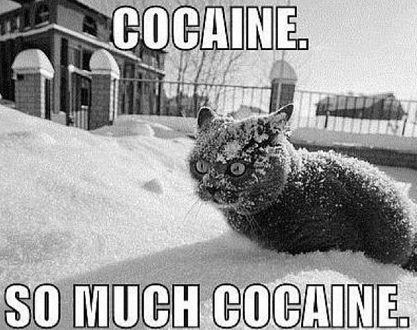 Иван Ляшко фотография #22