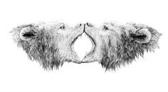 Иван Голядкин фотография #41 (источник - https://vk.com/id3789324)