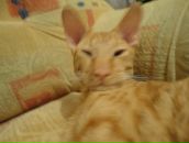 Фотография Шилова Евгения