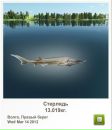 Ingutia Kieraite фотография #19 (источник - https://vk.com/id37570152)