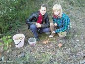 Фотография Воробей Али