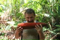 Фотография Катрука Алексея