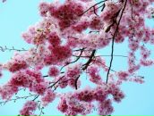 Фотография Суворовой Василисы